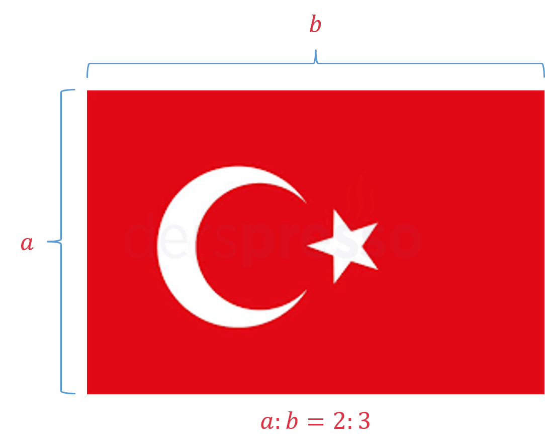 Türk bayrağının yükseklik/genişlik oranı