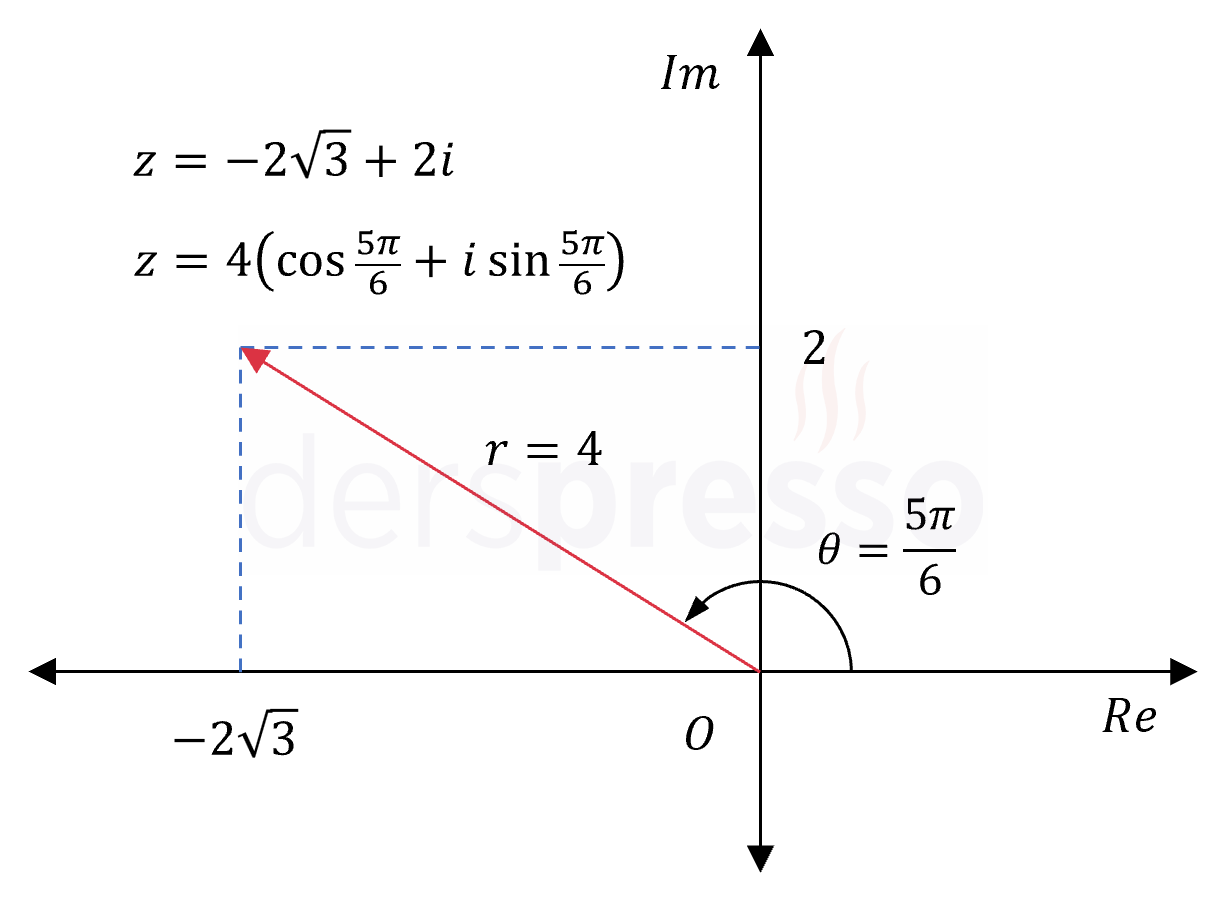 Kutupsal gösterim (örnek)