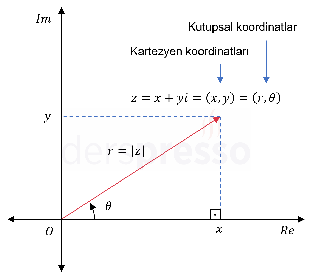 Kutupsal koordinatlar