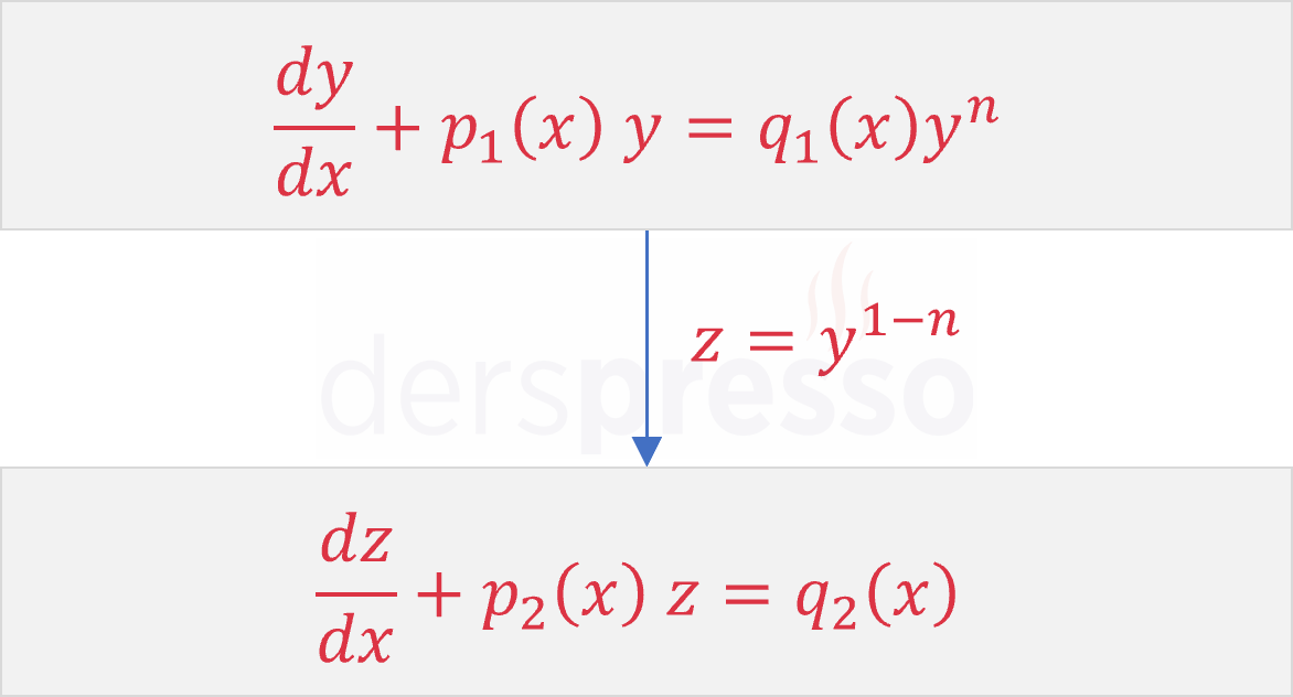 Bernoulli denklemleri